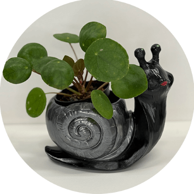 zorecart polz (Custom) (1)