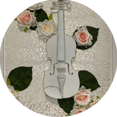 zorecart violina mixmedia (Custom)